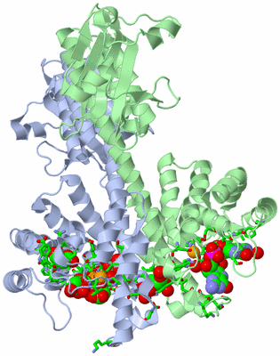 Image Asym./Biol. Unit - sites