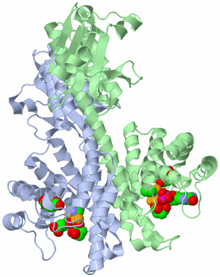 Image Asym./Biol. Unit