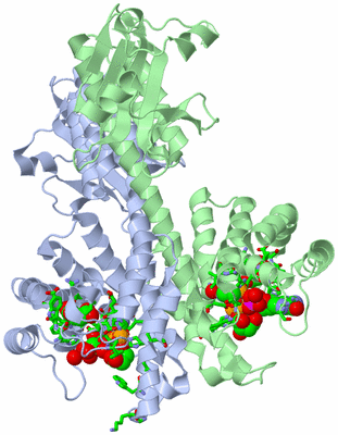 Image Asym./Biol. Unit - sites