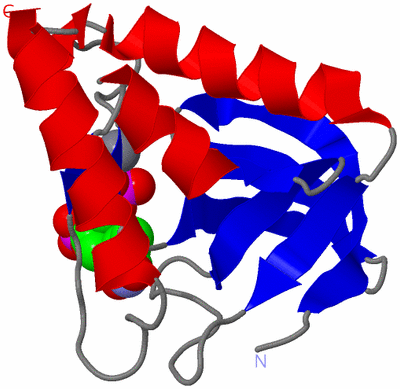 Image Asym./Biol. Unit