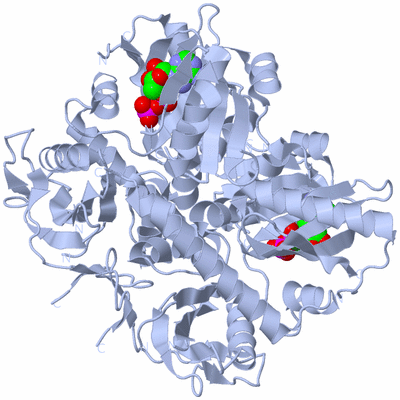 Image Biological Unit 1