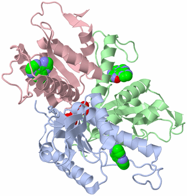 Image Asym./Biol. Unit