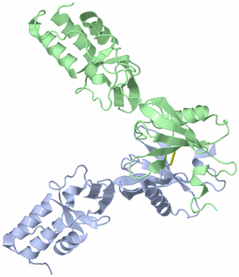 Image Asymmetric Unit