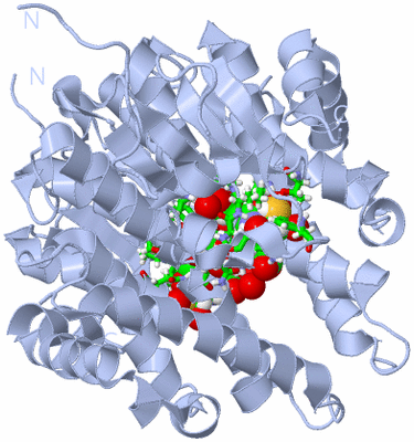 Image Biol. Unit 1 - sites