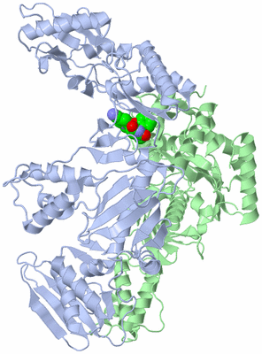 Image Asym./Biol. Unit