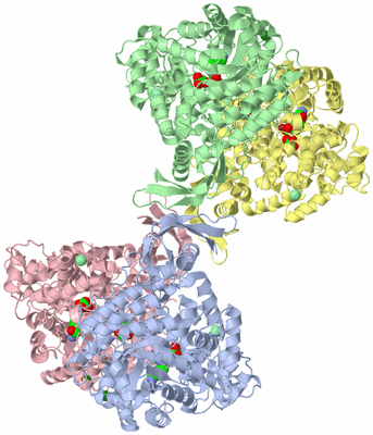 Image Asym./Biol. Unit