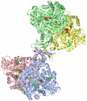 Image Asym./Biol. Unit - sites