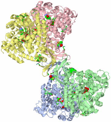 Image Asym./Biol. Unit - sites