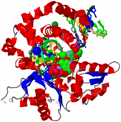 Image Asym./Biol. Unit