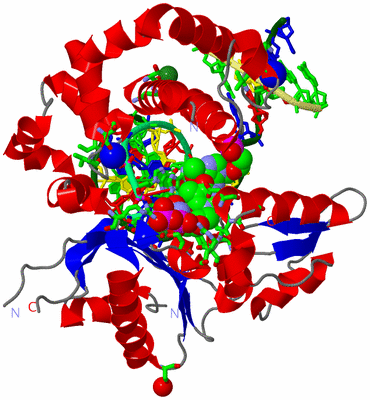 Image Asym./Biol. Unit - sites