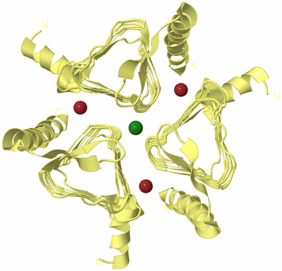 Image Biological Unit 2