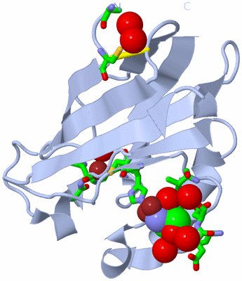 Image Biol. Unit 1 - sites