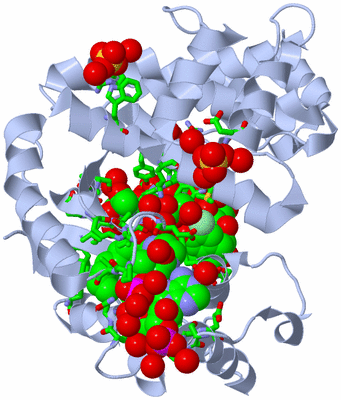 Image Asym./Biol. Unit - sites