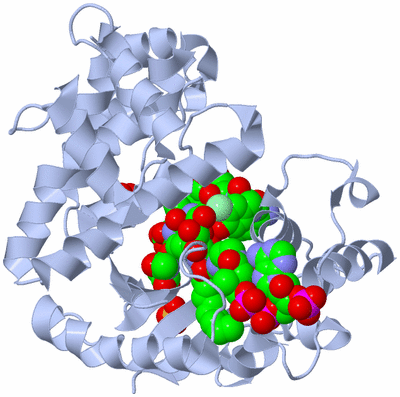 Image Asym./Biol. Unit