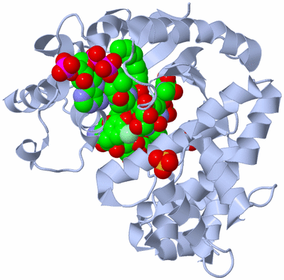 Image Asym./Biol. Unit