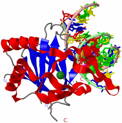 Image Asym./Biol. Unit