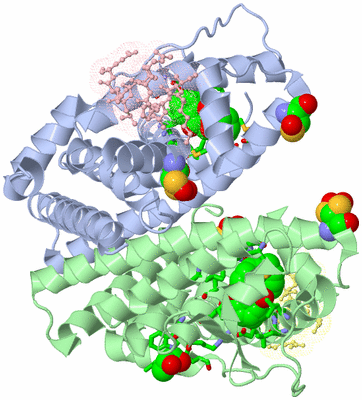 Image Asym./Biol. Unit - sites