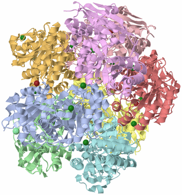 Image Asym./Biol. Unit