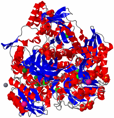 Image Asym./Biol. Unit