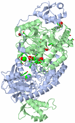 Image Biol. Unit 1 - sites