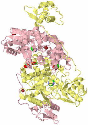 Image Biological Unit 2