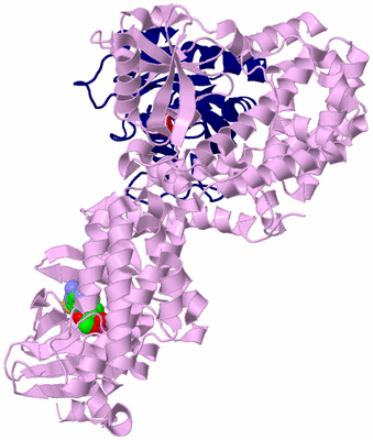 Image Biological Unit 1