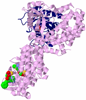 Image Biological Unit 1