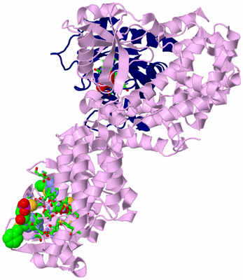 Image Biol. Unit 1 - sites