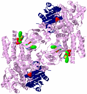 Image Biological Unit 2