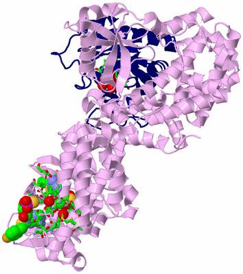 Image Biol. Unit 1 - sites