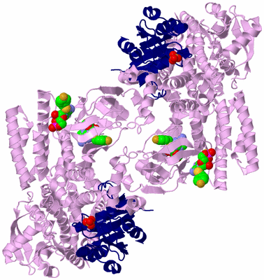 Image Biological Unit 2