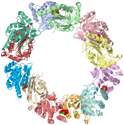 Image Asym./Biol. Unit