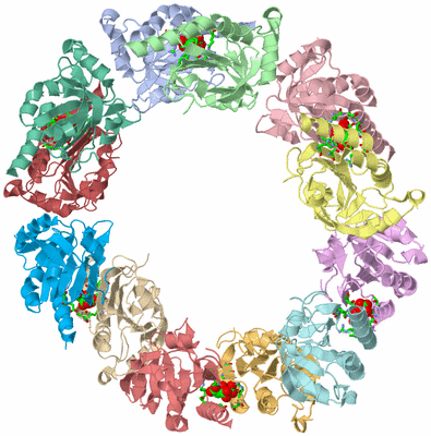 Image Asym./Biol. Unit - sites