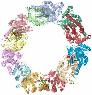 Image Asym./Biol. Unit - sites