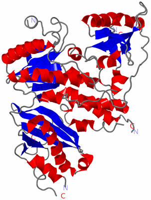 Image Asym./Biol. Unit