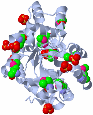 Image Biological Unit 1