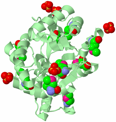 Image Biological Unit 2