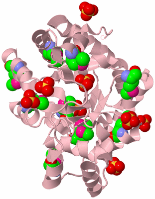 Image Biological Unit 3