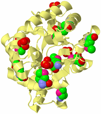 Image Biological Unit 4