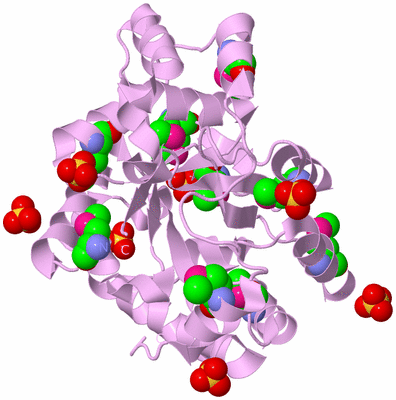 Image Biological Unit 5