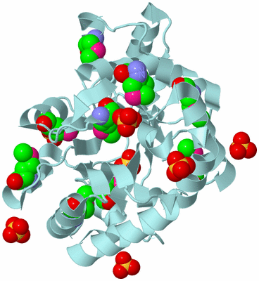 Image Biological Unit 6