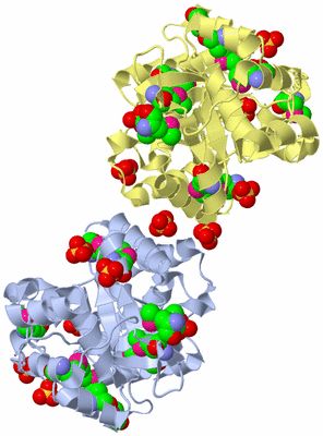 Image Biological Unit 7