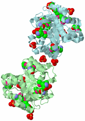 Image Biological Unit 8