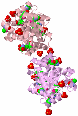 Image Biological Unit 9