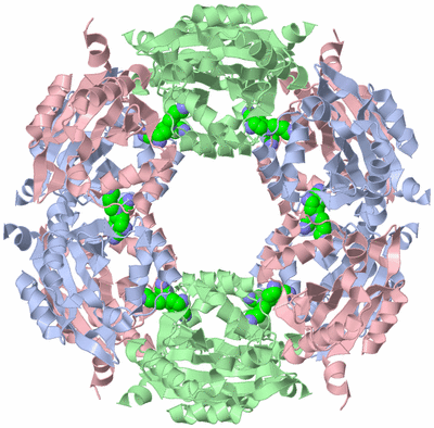 Image Biological Unit 1