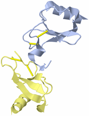 Image Biological Unit 1