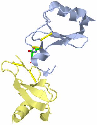 Image Biol. Unit 1 - sites