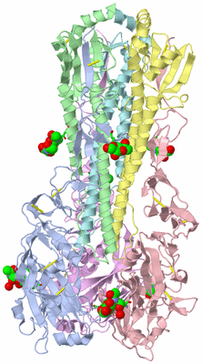 Image Biol. Unit 1 - sites