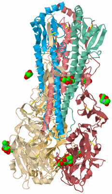 Image Biological Unit 2