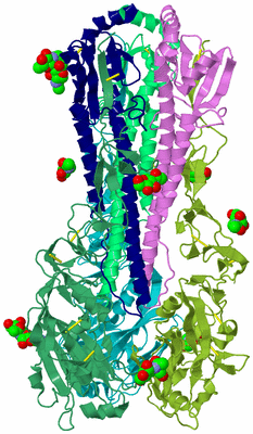 Image Biological Unit 3